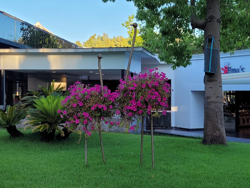 Gartenanlage Monachus Family Resort Sorgun