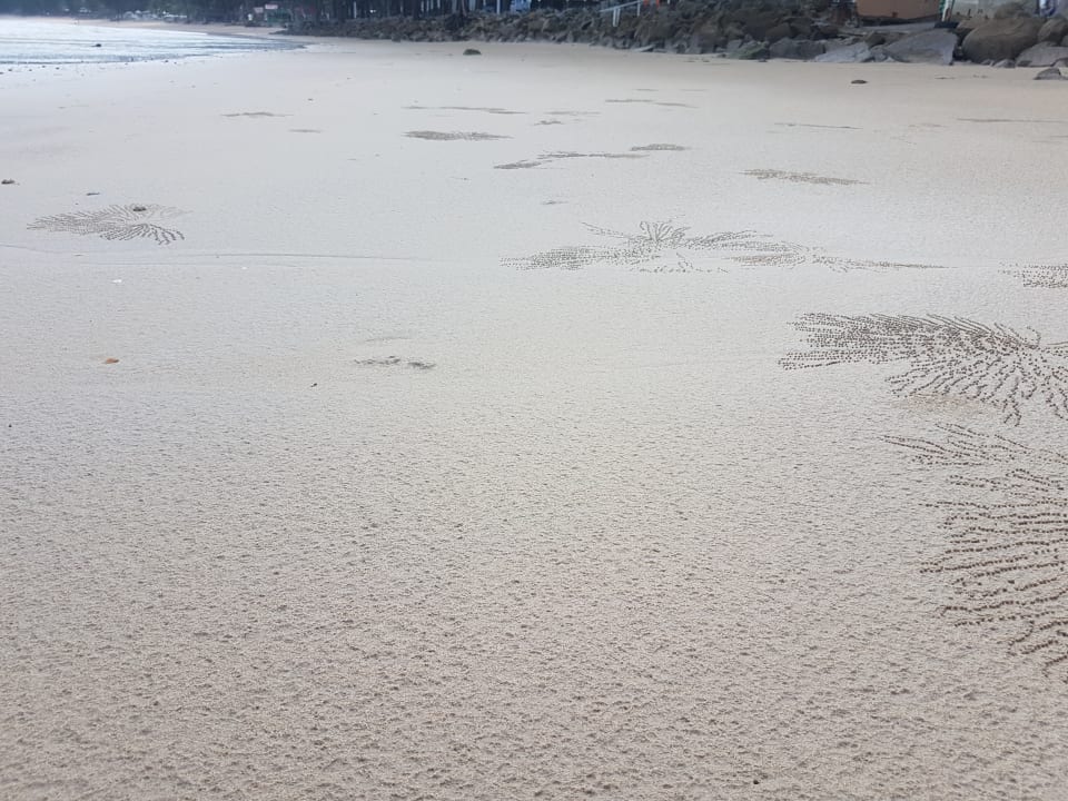 Strand Best Western Premier Bangtao Beach Resort & Spa