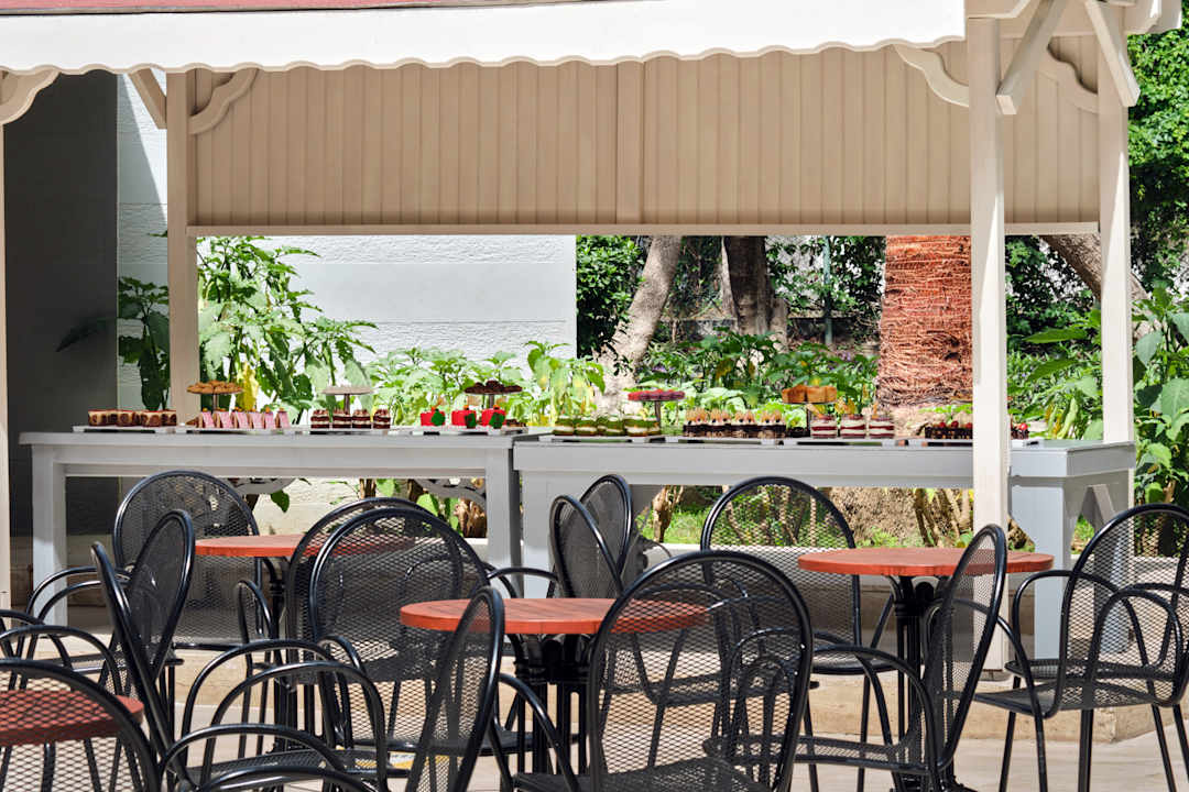 Gastro Asteria Collection Side