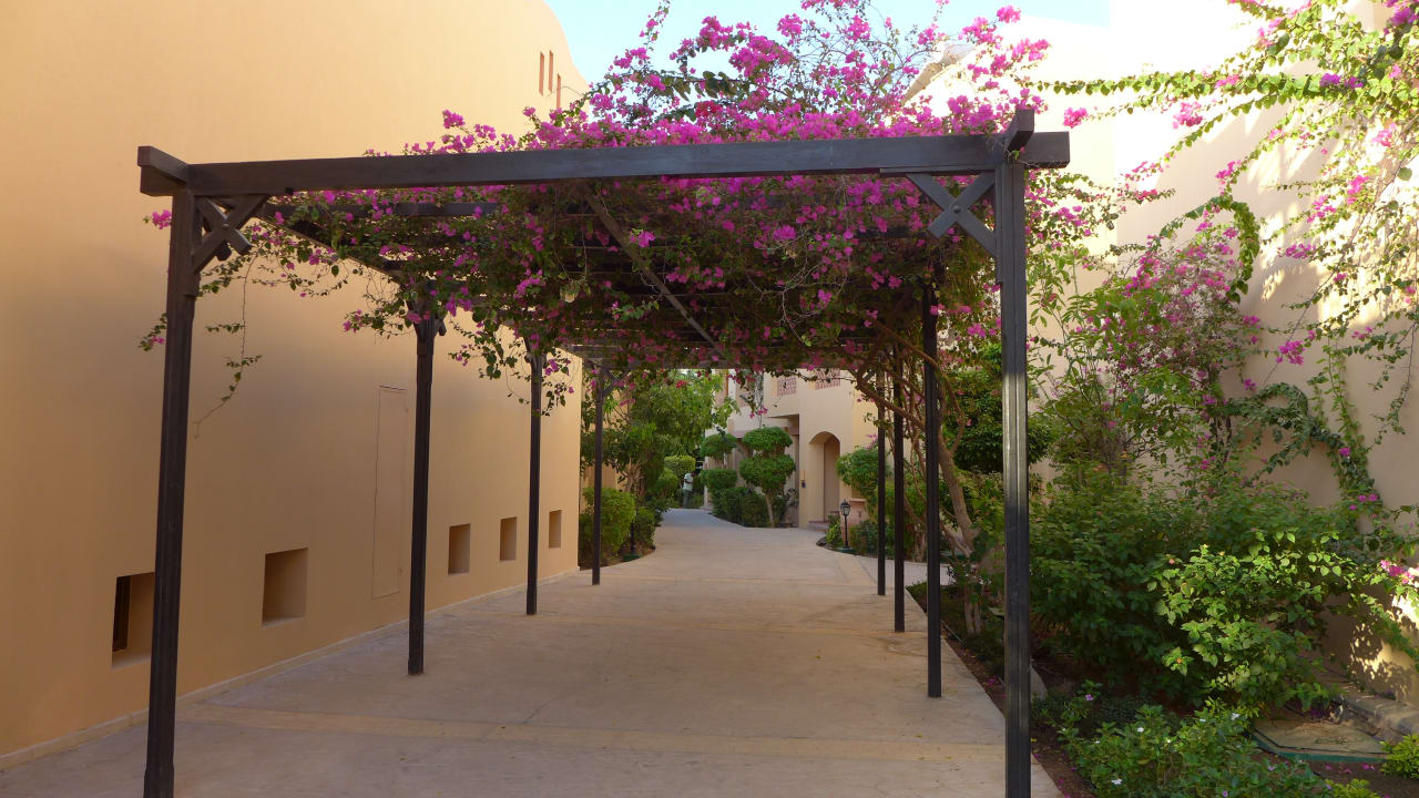 Garten Steigenberger Coraya Beach - Adults only