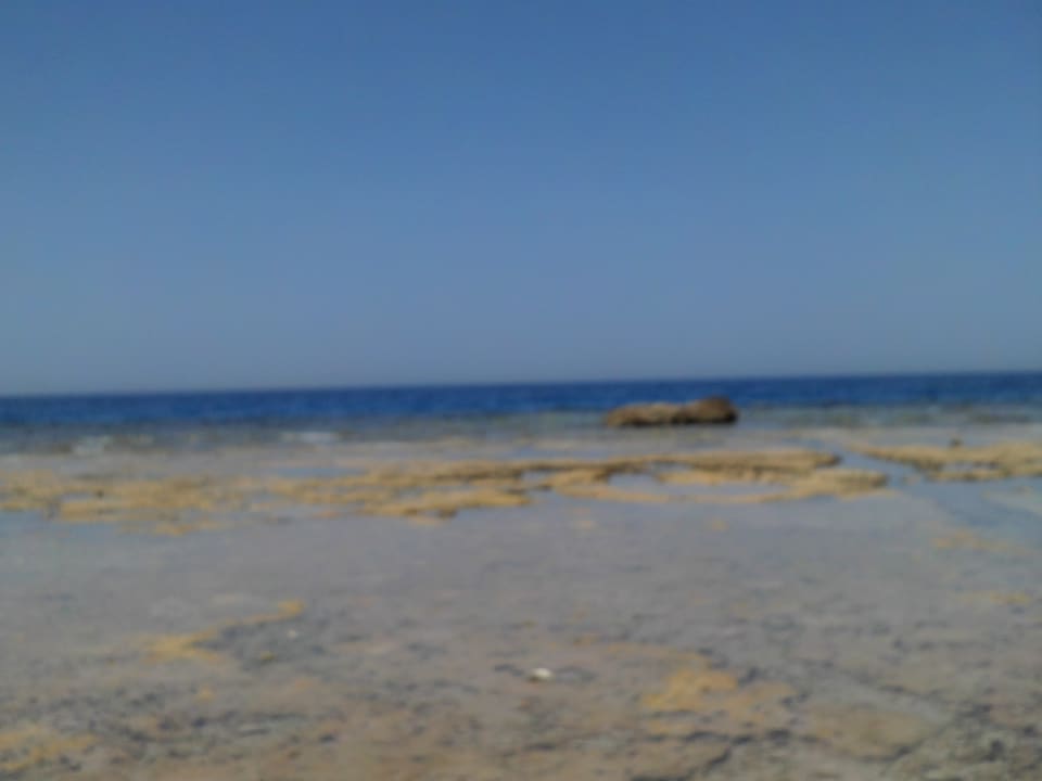 Strand Pickalbatros Citadel Resort