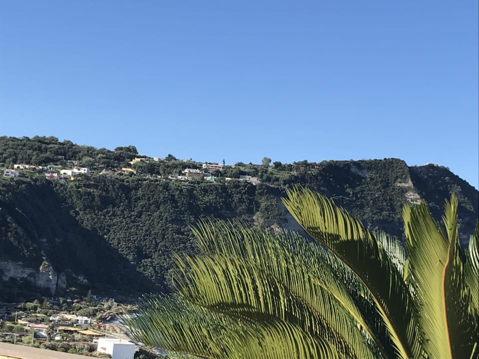 Ausblick Hotel Terme Royal Palm