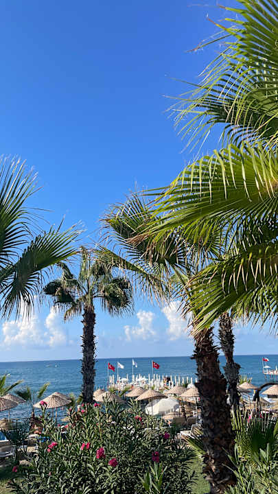 Gartenanlage Club Dizalya