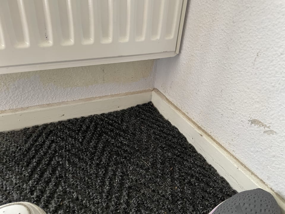 Zimmer Center Parcs Park Zandvoort - Ferienhäuser