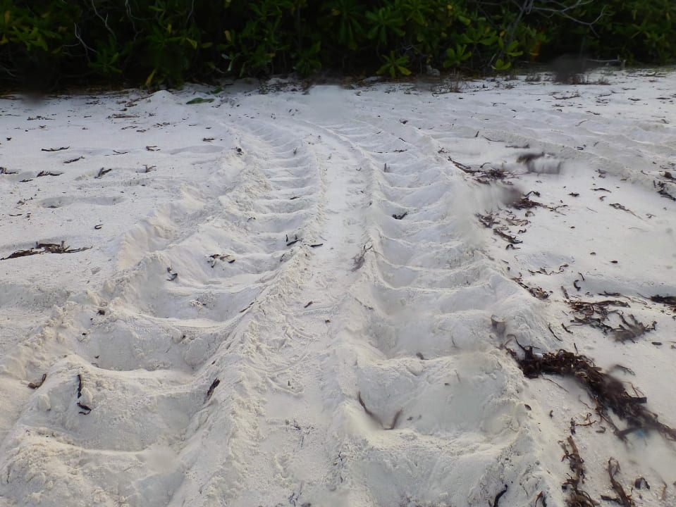 Strand Hondaafushi Island Resort