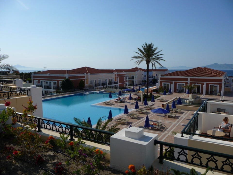 Einer von vielen Porto Bello Royal