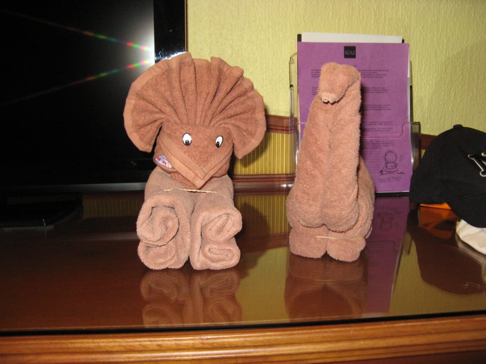 Danke Margarite  Hotel Riu Tequila