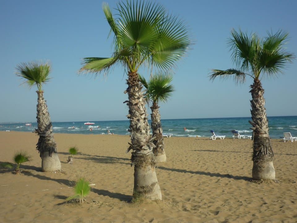 Wunderschöner Strand Club Grand Side