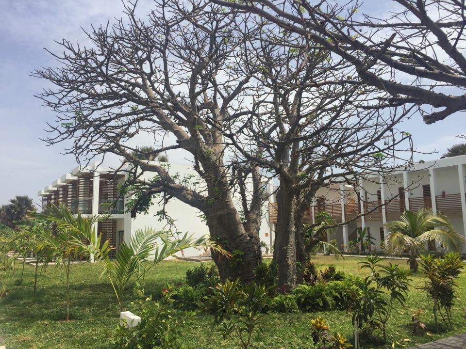 Außenansicht TUI BLUE Tamala