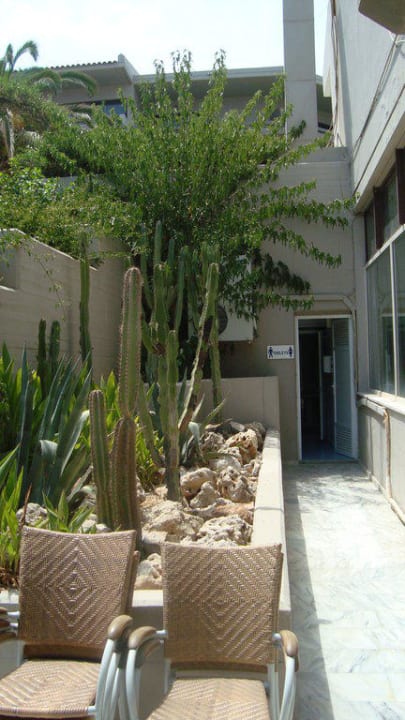 Zu dem Pool WC Hotel Cathrin