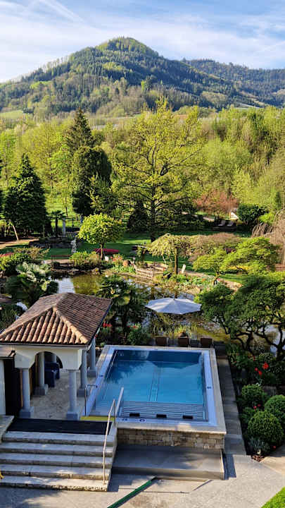 Pool Hotel Restaurant Rebstock Durbach