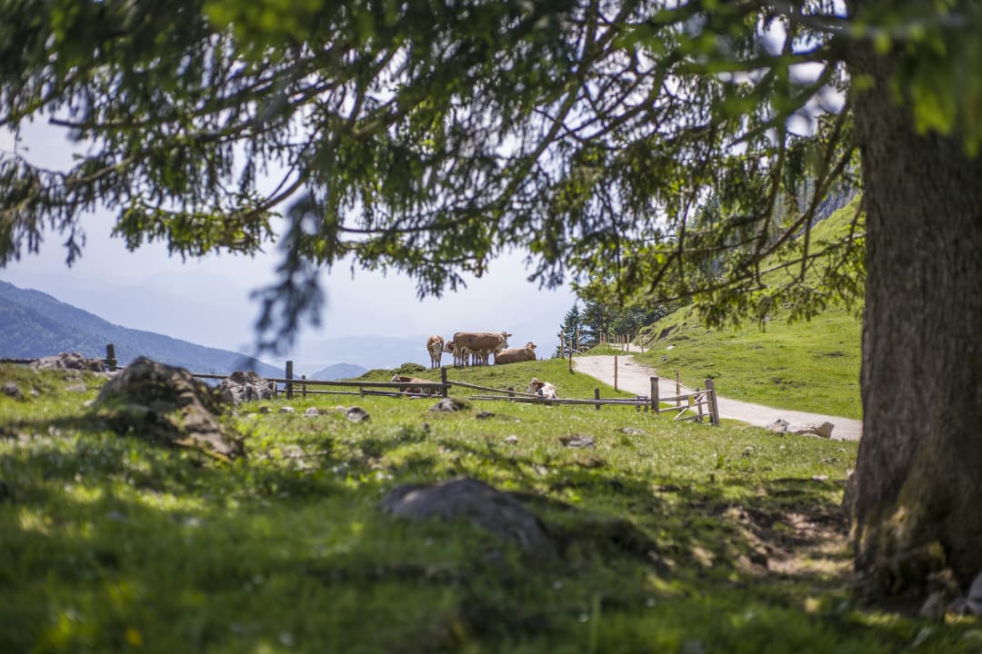 Gartenanlage Berggasthaus Ritzau Alm
