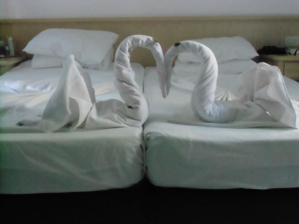 Ein Gruß vom Zimmerservice jeden Tag neu Ulusoy Kemer Holiday Club