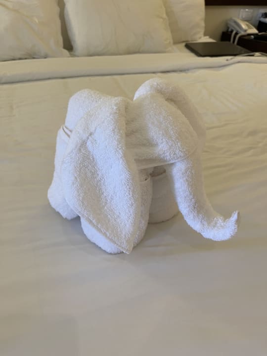 Zimmer Akumal Bay Beach & Wellness Resort