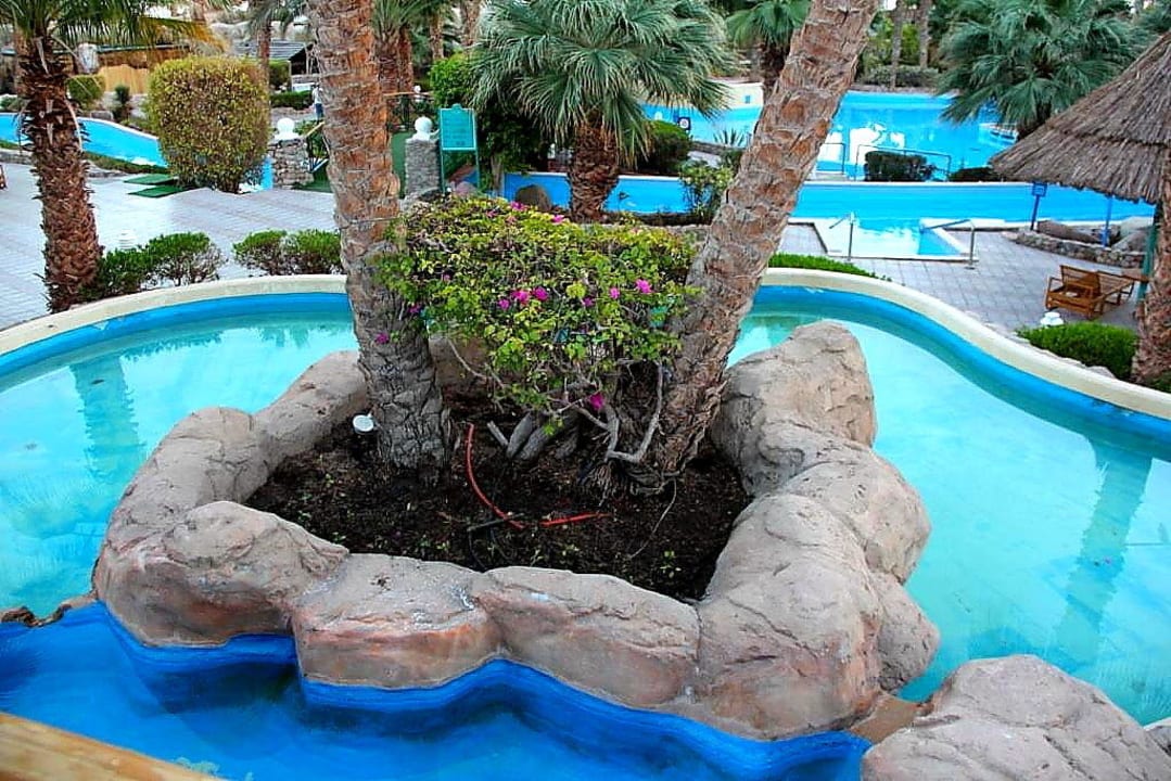 49 Pickalbatros Golf Beach Resort