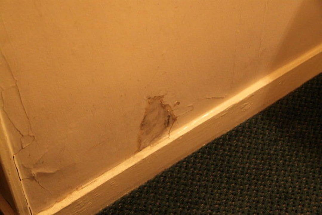 Schimmel Hotel Berjaya Eden Park