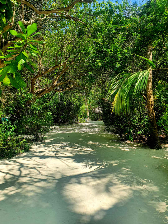 Gartenanlage Summer Island Maldives