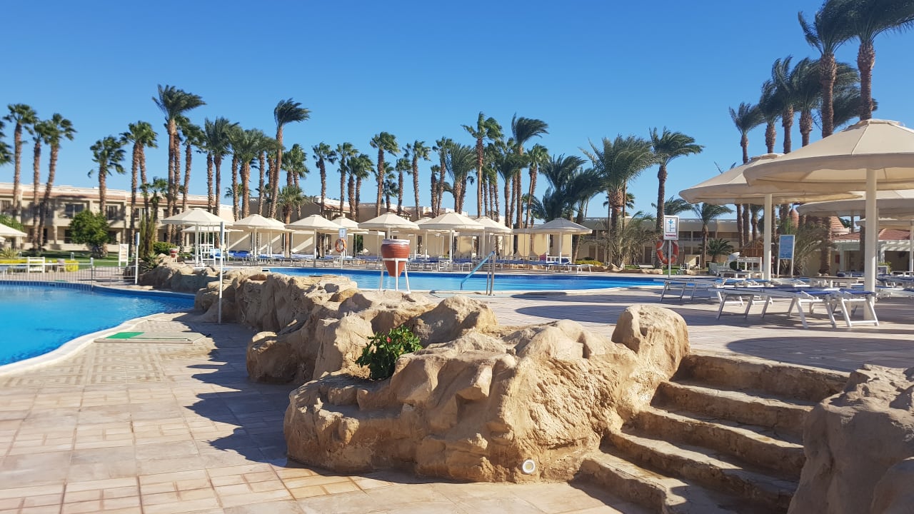 Pool Beach Albatros Resort