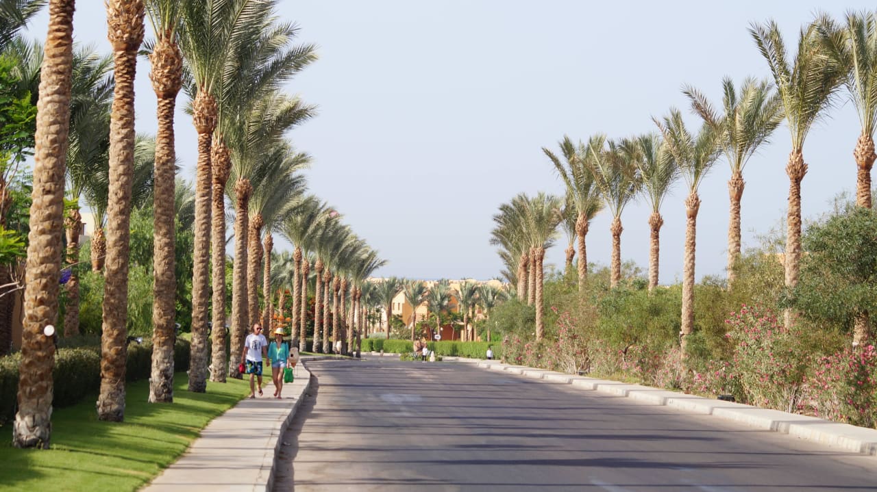 Droga na plażę  Stella Garden Resort & Spa, Makadi Bay