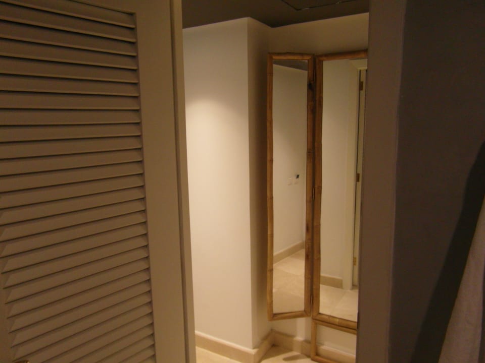 Zimmer Dreams Jardín Tropical