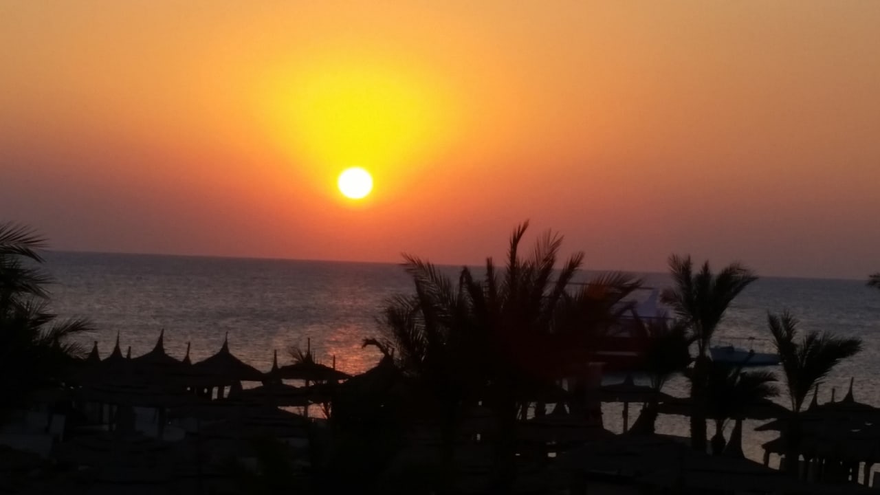 Sonnenaufgang Beach Albatros Resort