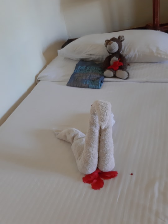 Zimmer Neptune Paradise Beach Resort & Spa