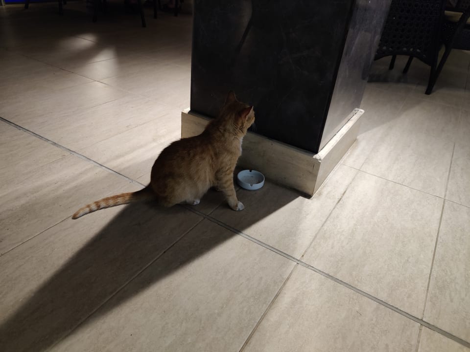 Sonstiges TUI BLUE Seno - Adults Only