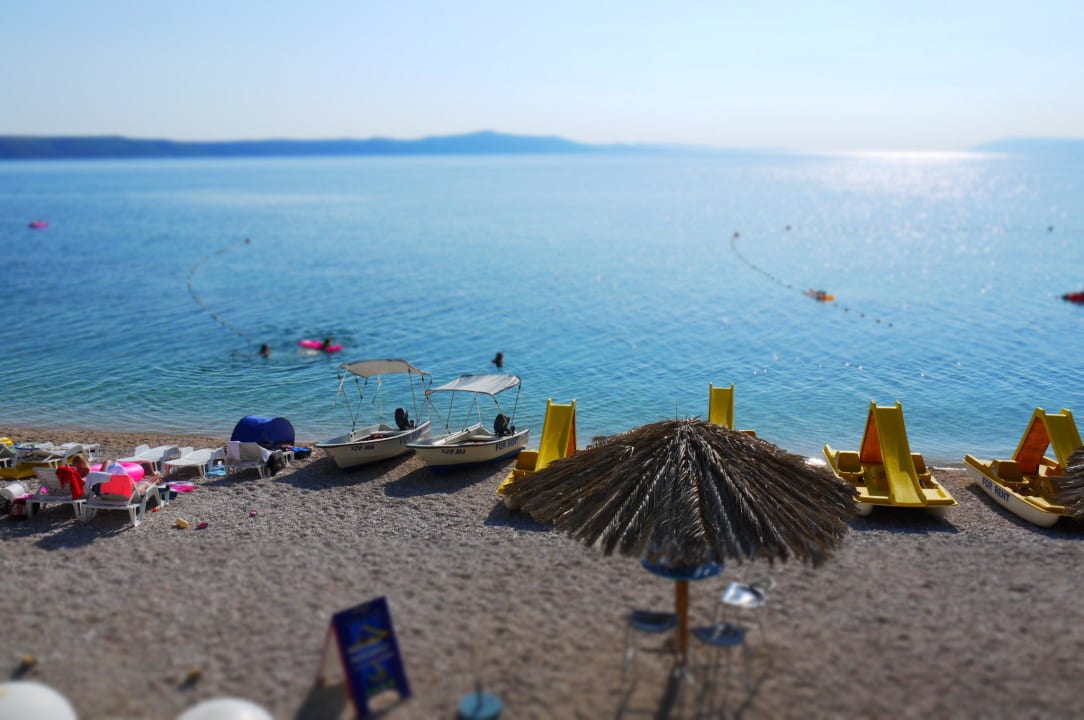 Widok z basenu TUI BLUE Adriatic Beach