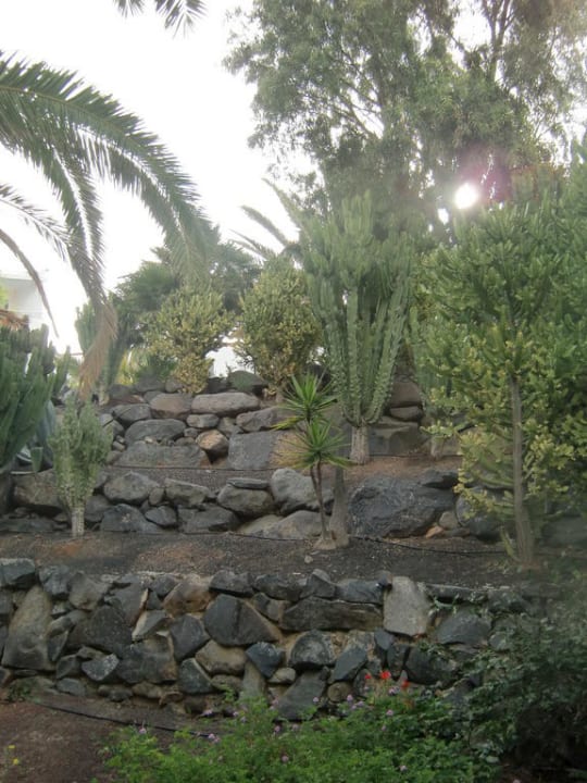 Gartenanlage allsun App.-Hotel Esquinzo Beach