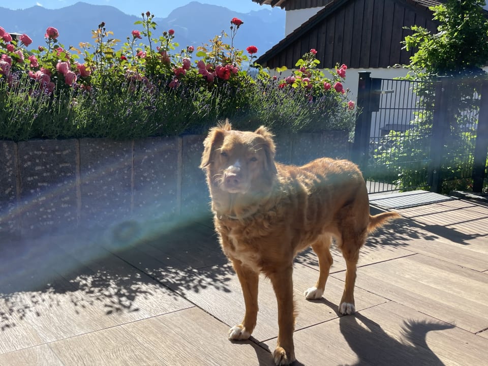 Gartenanlage Eldorado – Ferienwohnungen & Suiten im Allgäu