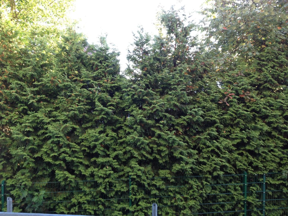 Blick vom Balkon Appart-Haus Business Appartements