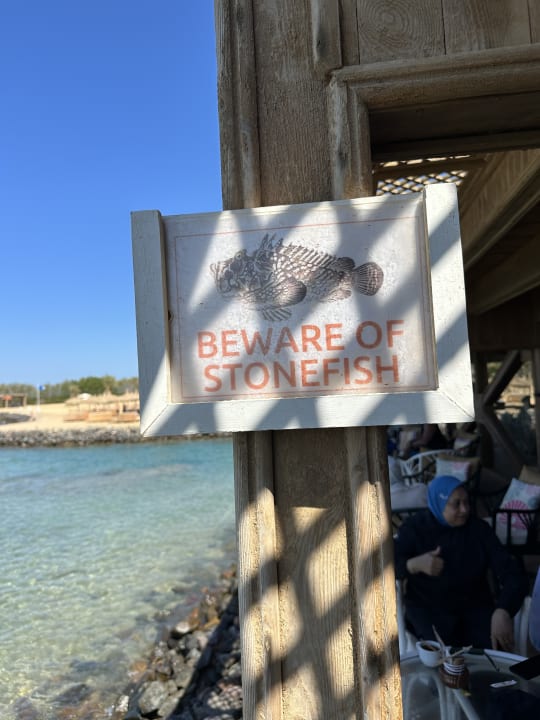 Sonstiges Desert Rose