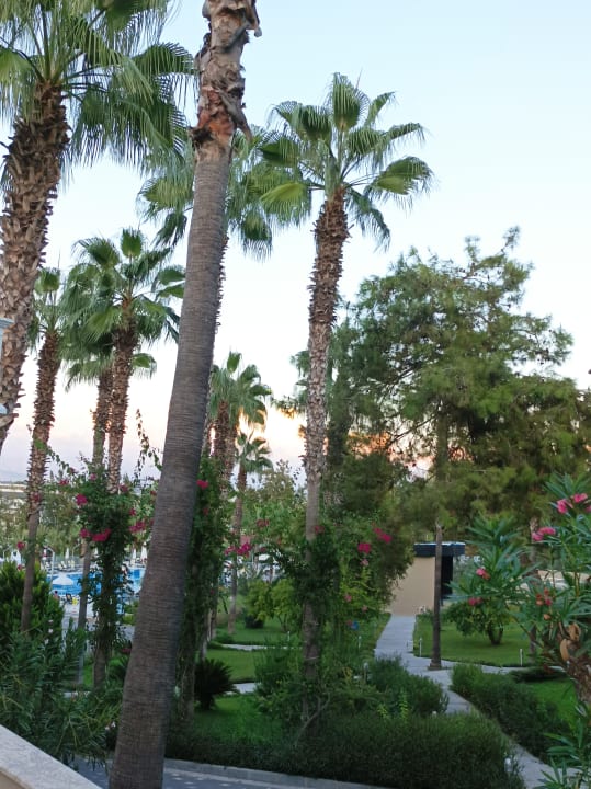 Gartenanlage Club Sidelya Hotel