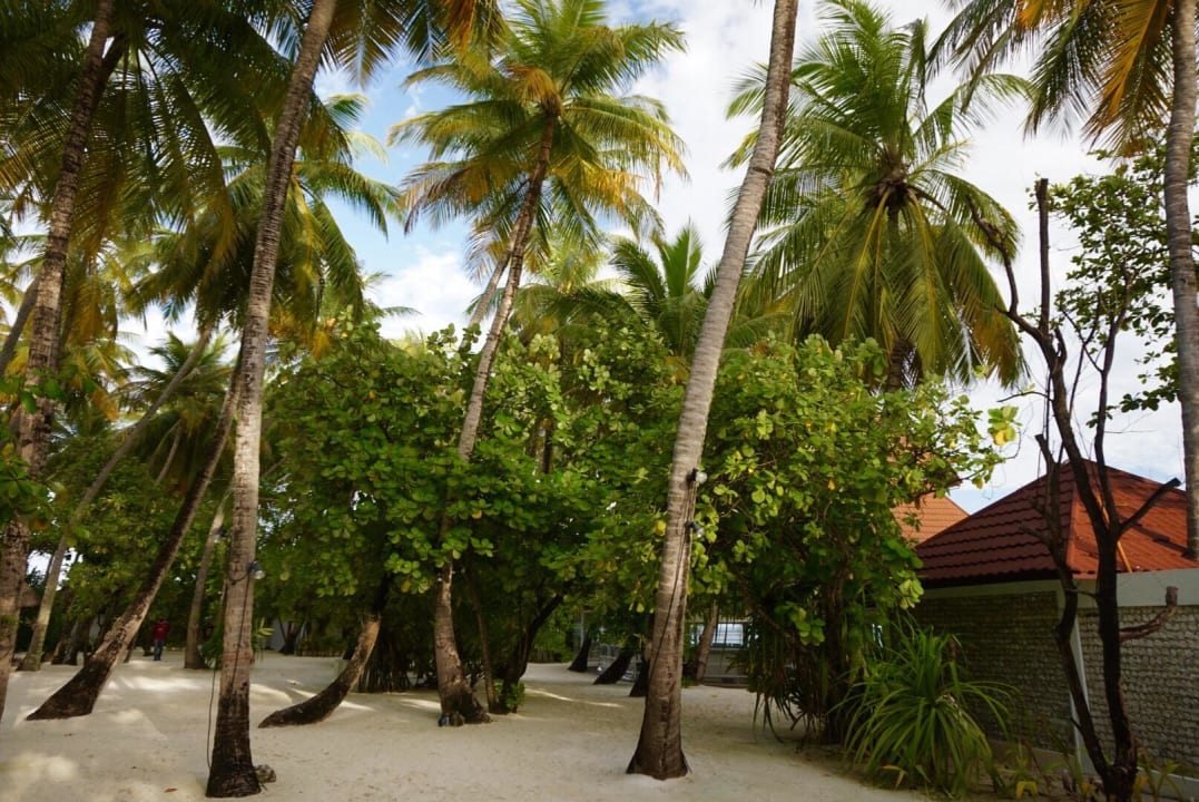 Inselinneres Diamonds Thudufushi