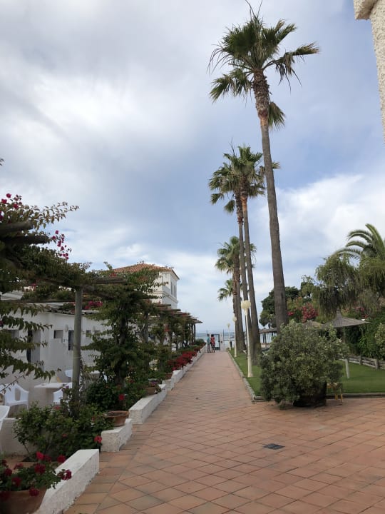 Gartenanlage Hotel Playa de la Luz