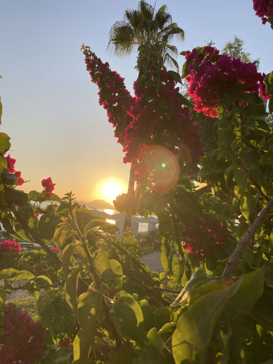 Gartenanlage Club Tuana Fethiye