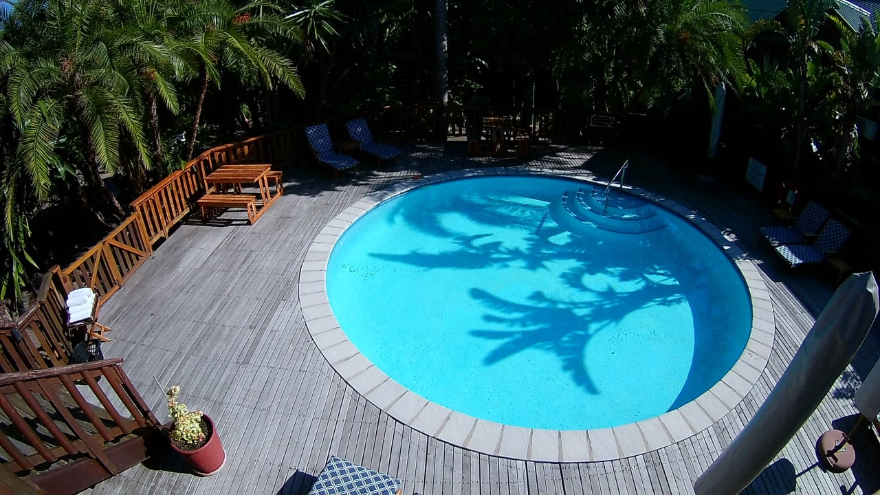 Pool The Graywood Hotel