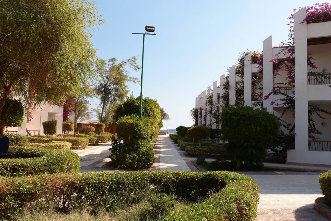 Blick zum Strand Menaville Safaga