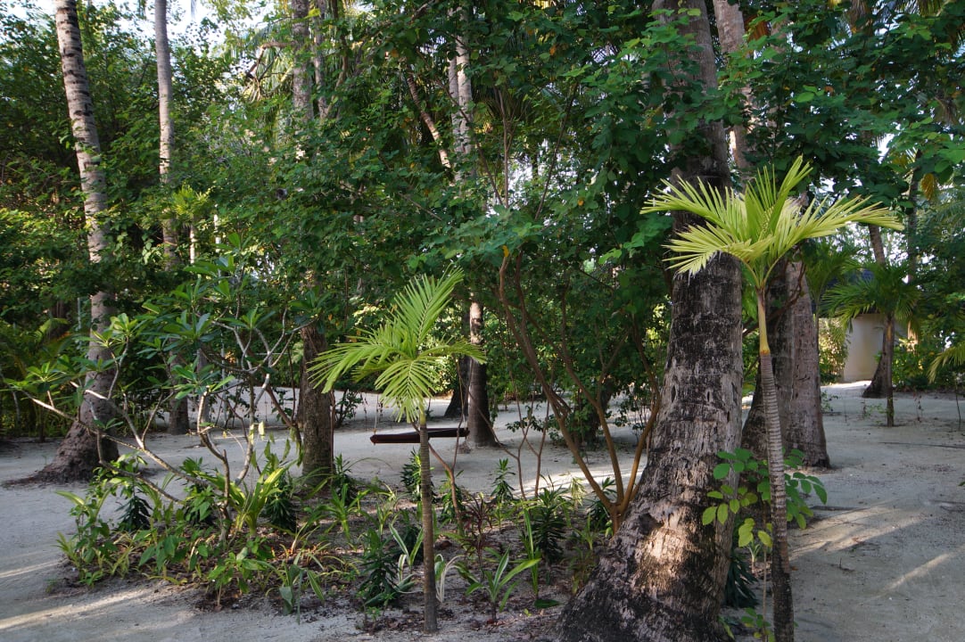 Gartenanlage Summer Island Maldives