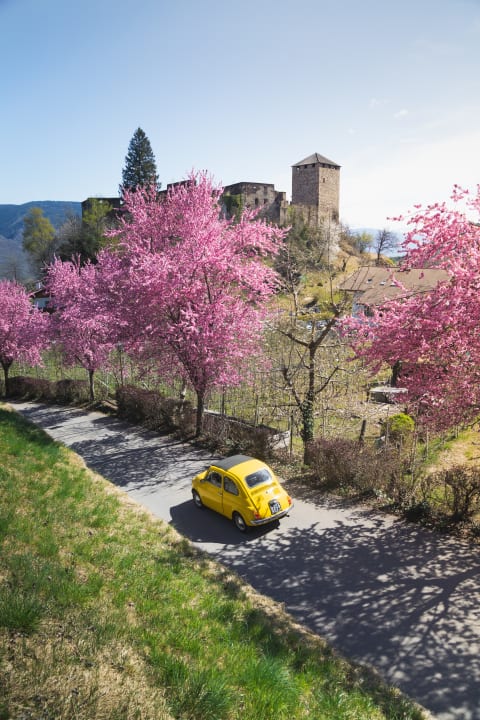 Ausblick Hotel Der Waldhof