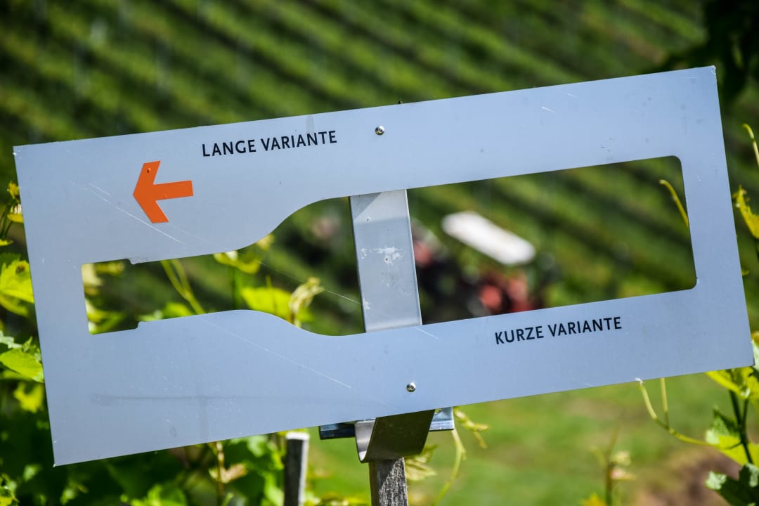 Sonstiges Gasthof zum Moosmann - Familie Pachernigg