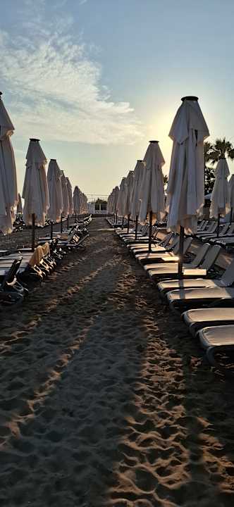 Strand Papillon Belvil