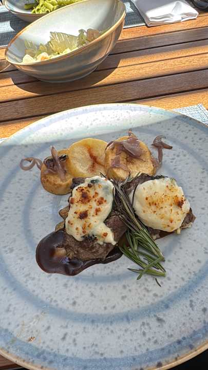 Gastro JAZ Elite Amara