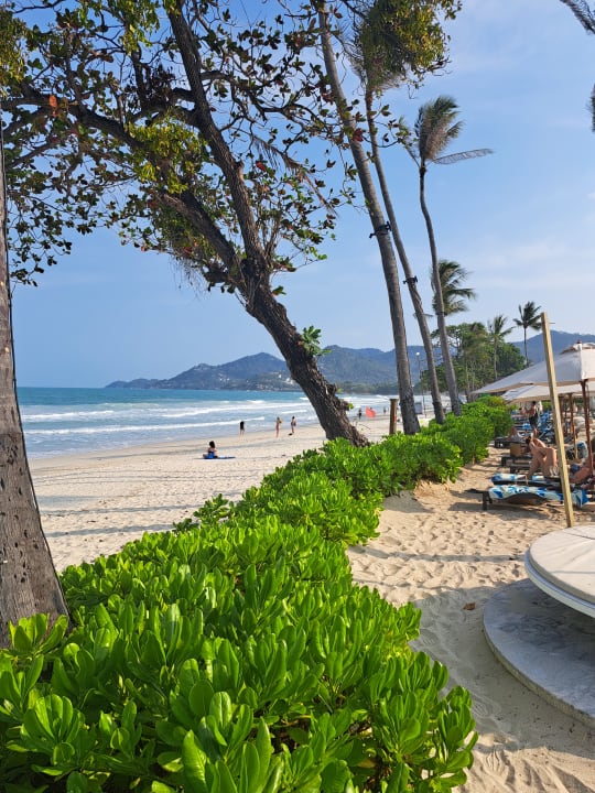 Strand Centara Reserve Samui