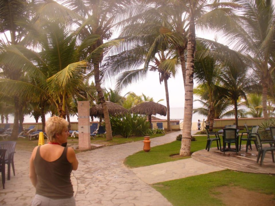 Weg Viva Tangerine by Wyndham - All Inclusive Resort