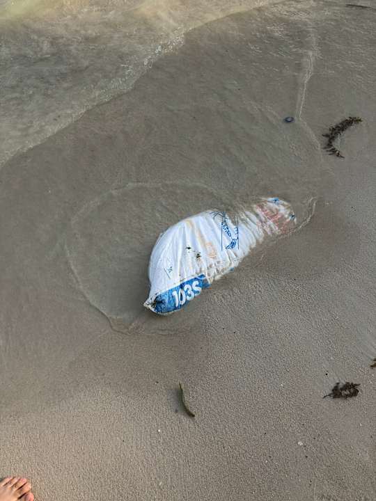 Strand Hotel Al's Hut