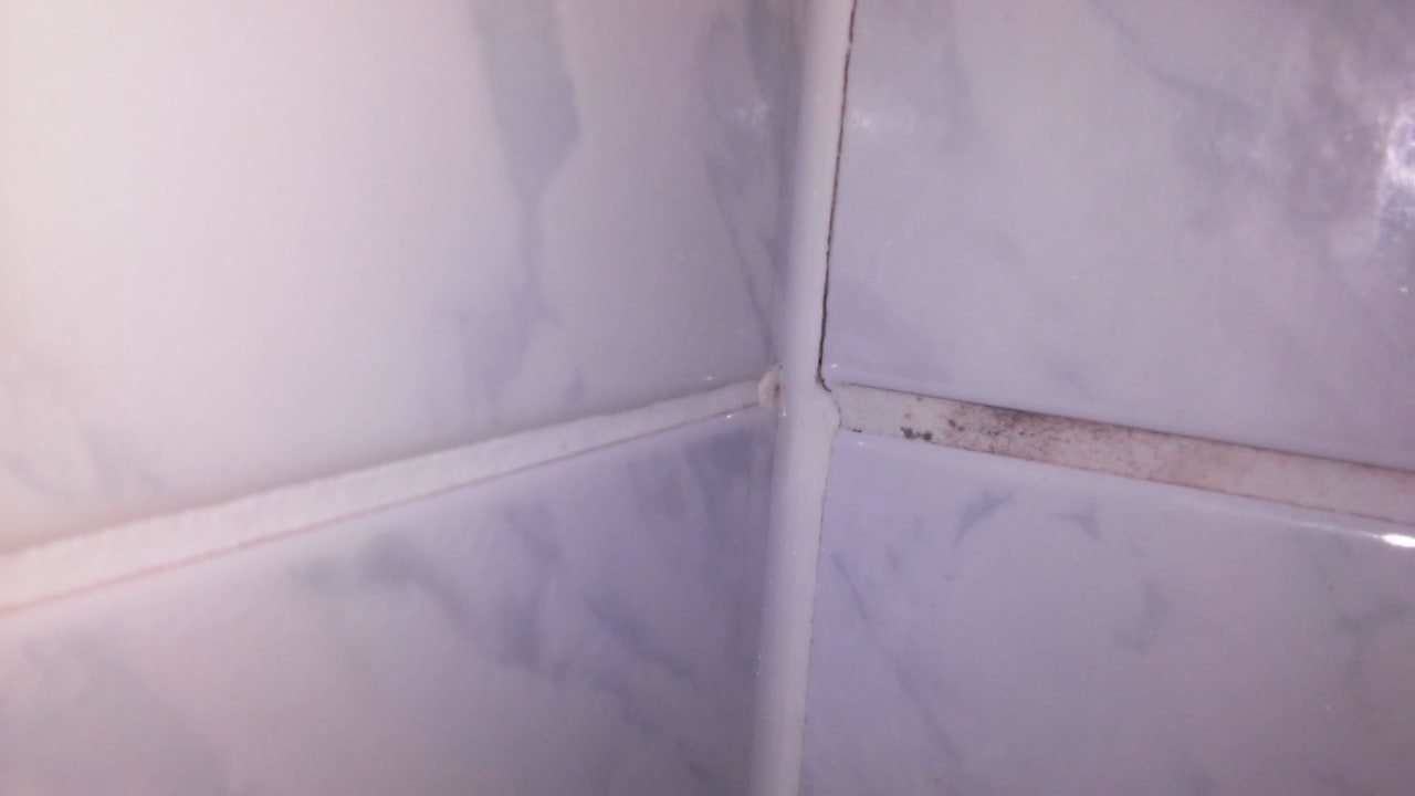 Schimmel in der Dusche  Gesundheitsresort Königsberg