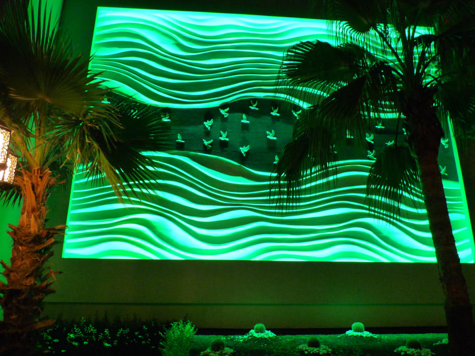 Farbenspiel... Paloma Oceana