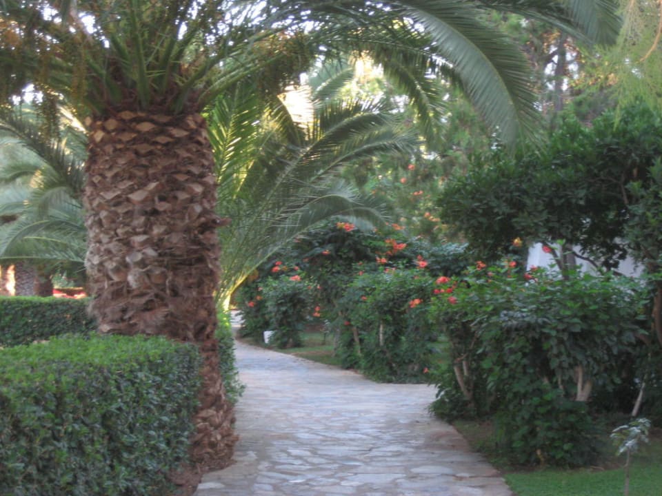 Weg zum Restaurant Apollonia Beach Resort & Spa