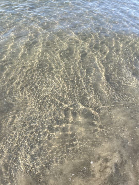 Strand TUI BLUE Xanthe